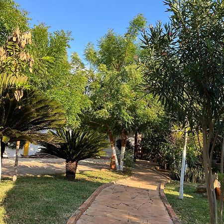 Quinta Rosita Bed & Breakfast Ticul Exterior photo